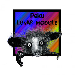 CFR102 : Peku - Devil Deal (Original Mix)