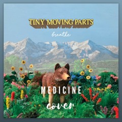 Tiny Moving Parts - Medicine (cover)