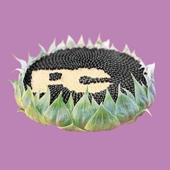 Журнал Птюч