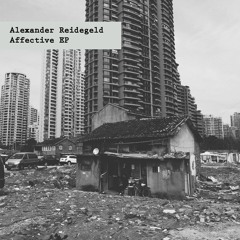 Alexander Reidegeld - Perception