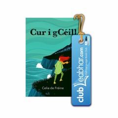 Cur i gCéill - Leabhar Mhí Feabhra 2020 / Book of the Month - February 2020