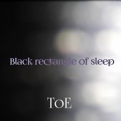 Black Rectangle Of Sleep