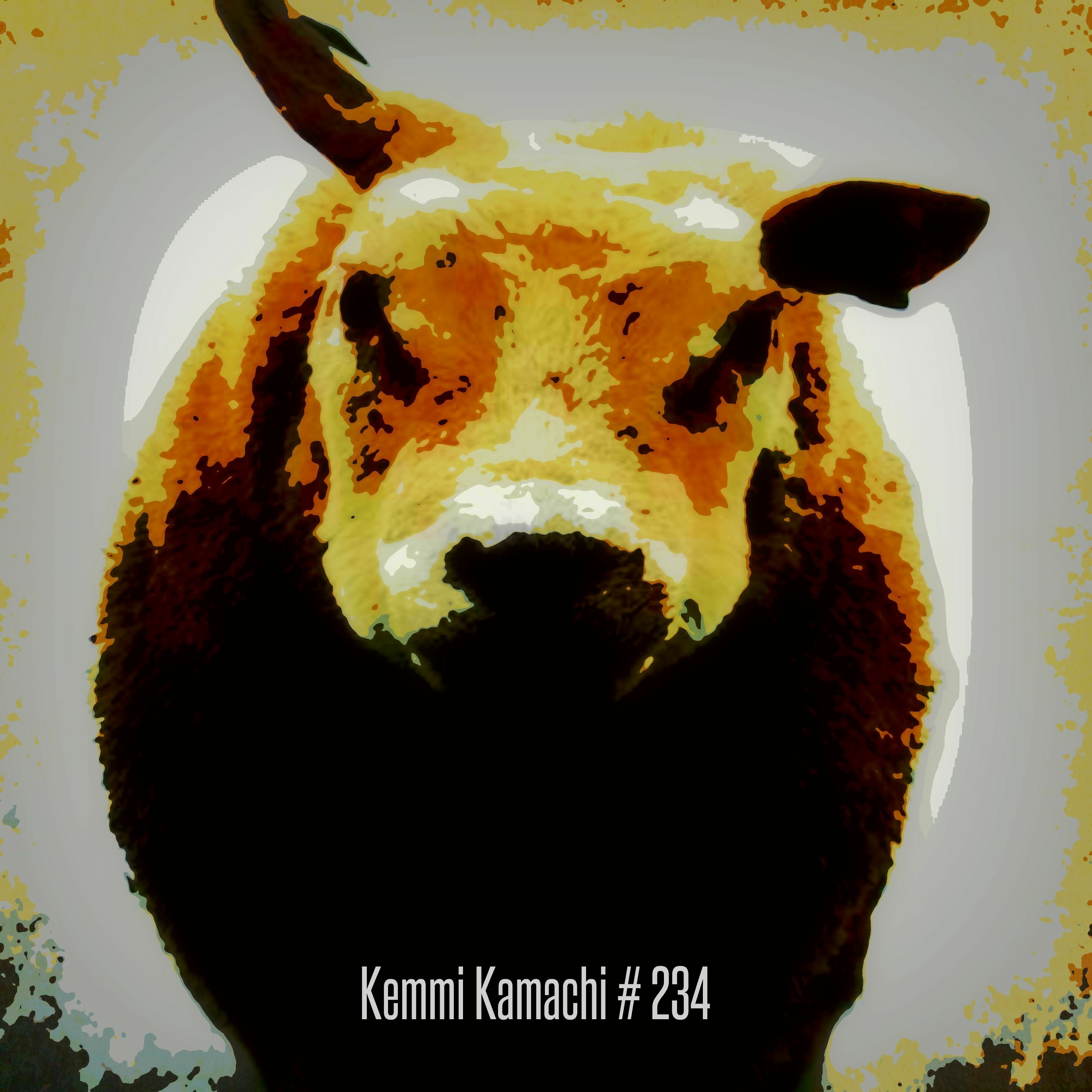 Kemmi Kamachi