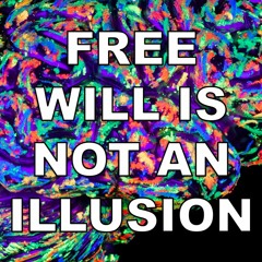 Free Will Is Not an Illusion