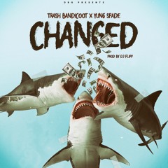 Trash Bandicoot featuring (yung spade) - Changed (prod. by dj flippp)