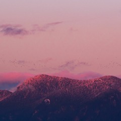 LUCA - Your Name is Jim