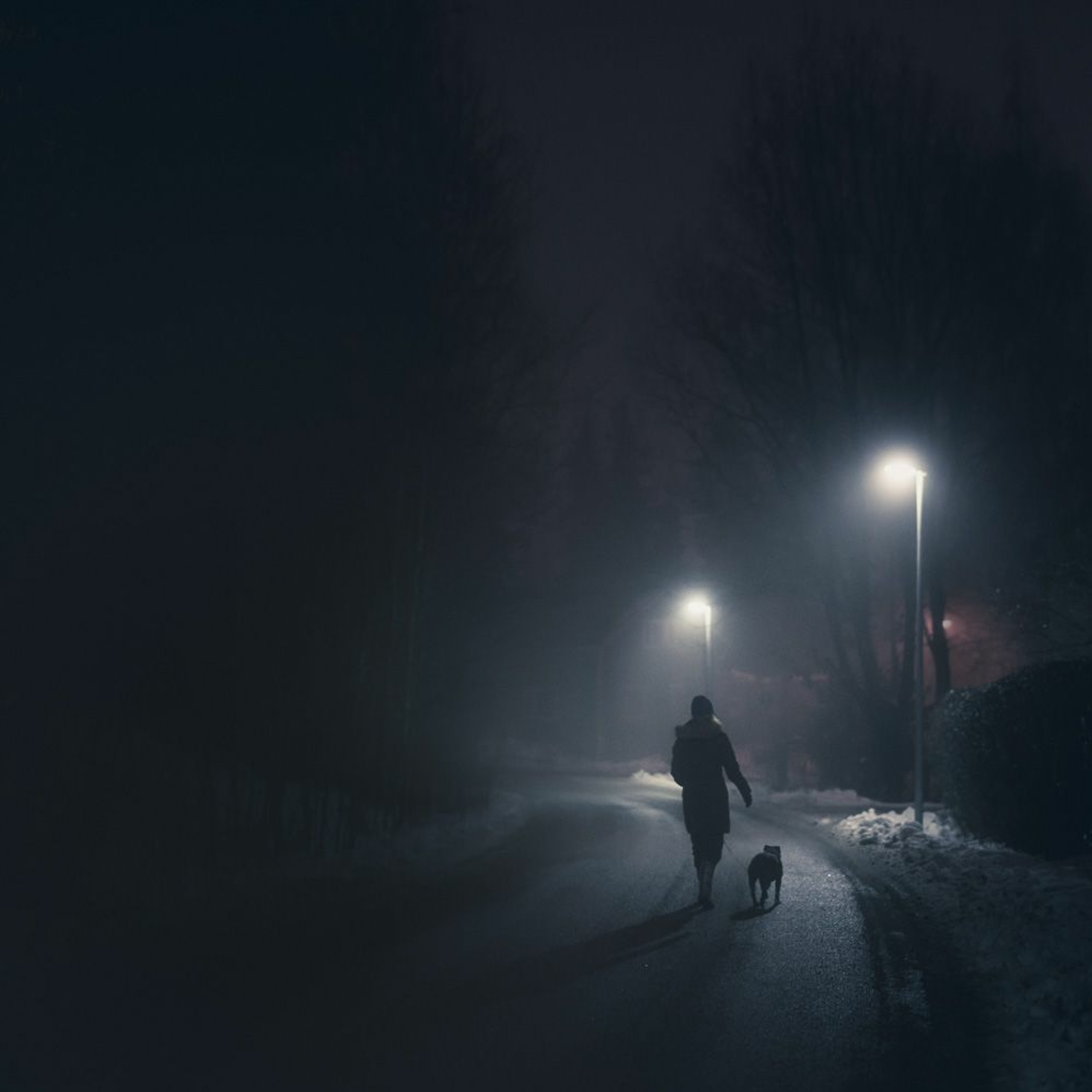 Artikodin - Nightwalk episode artwork
