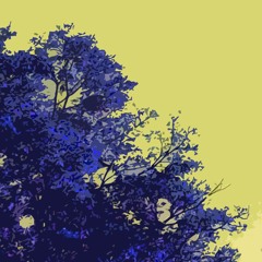 palespring