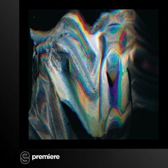 Premiere: Marino Canal - Provenance - Siamese