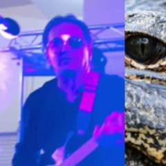 See you later aligator - Marius Precup ( lead vocal & lead vocal ) Dr. Feelgood song