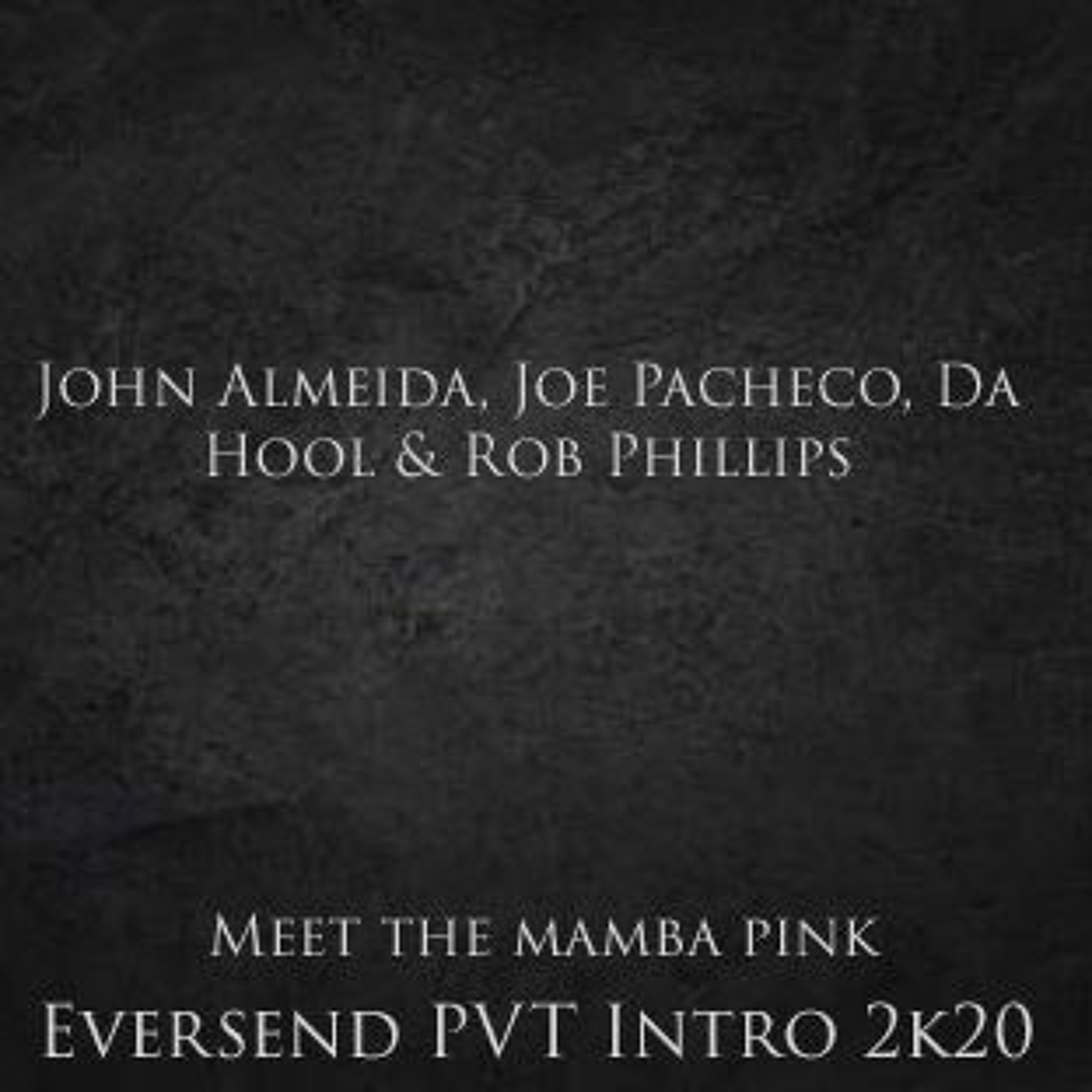 J.Almeida, J.Pacheco, Da Hool, House Of Labs, R.Phillips - Meet The Mamba Pink (Eversend PVT INTRO) episode artwork