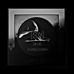 SPACE VIEWX [#14] Flying Cobra (Russia, Dub Techno)