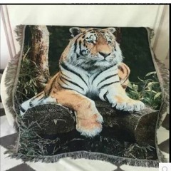 Tiger Patch pt II