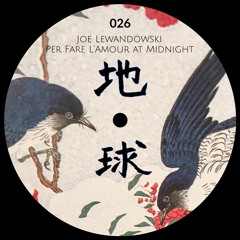 Premiere: Joe Lewandowski - One Time [Chikyu-u Records]