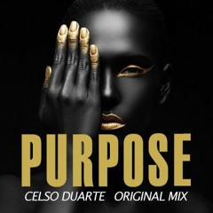 Celso Duarte - Purpose (Original Mix)