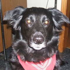 Minimix - Manuel Fea (Technostyled Loop Chaos 138,49 Bpm)