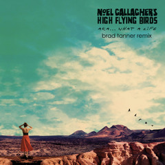 Noel Gallagher's High Flying Birds - AKA... What A Life! (Brad Tanner Remix)