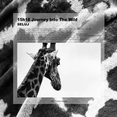15h18 Journey Into The Wild