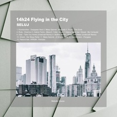 14h24 Flying in the City