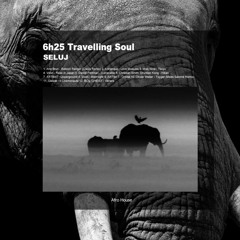 6h25 Travelling Soul