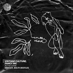 Vintage Culture & Fancy Inc - In the Dark (KRIEGER & Bolth Bootleg)