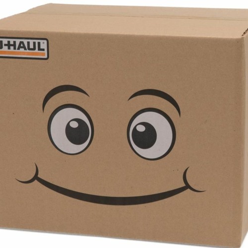 THE BOX IN REAL LIFE (NOT CLICKBAIT)