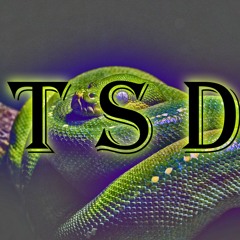 TSD - Project 11 [featured on LightbubbleTV] [80 BPM]