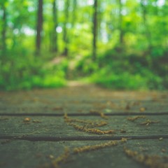 Foot Steps