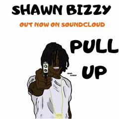 Shawn Bizzy - Pull Up