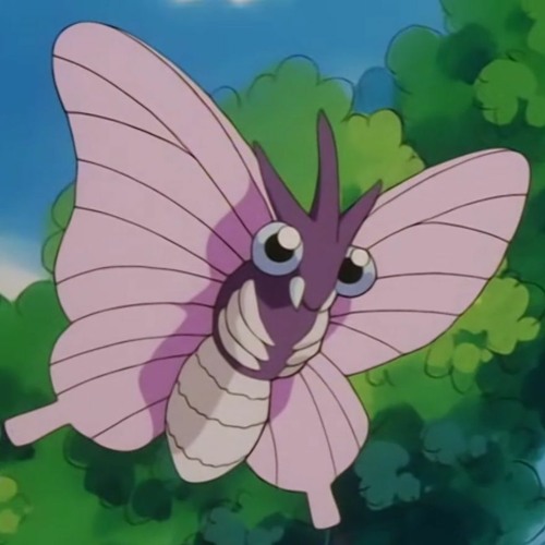 Venomoth 2024