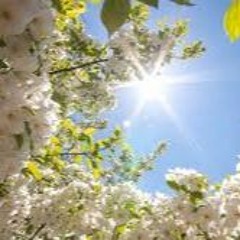 Spring Chillout