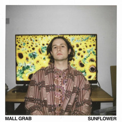 Mall Grab - Leaving Tokyo