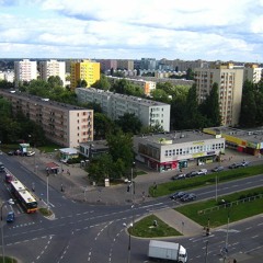 SZCZENA - Patologia bloki