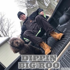Dippin - Big Roo