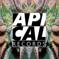 Techno Creature - Apical Records Podcast 2020