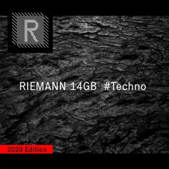 RIEMANN 14GB - 2020 Edition - Sample Pack Demo Song - Royalty Free