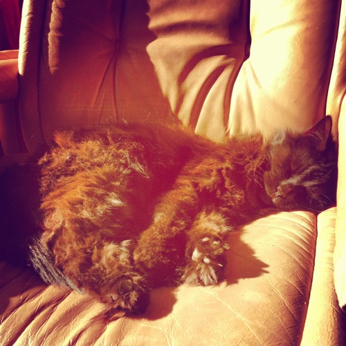 Golden Slumbers