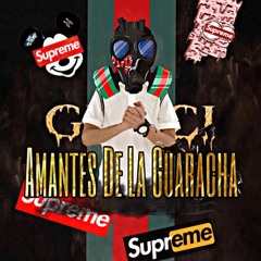 guaracha