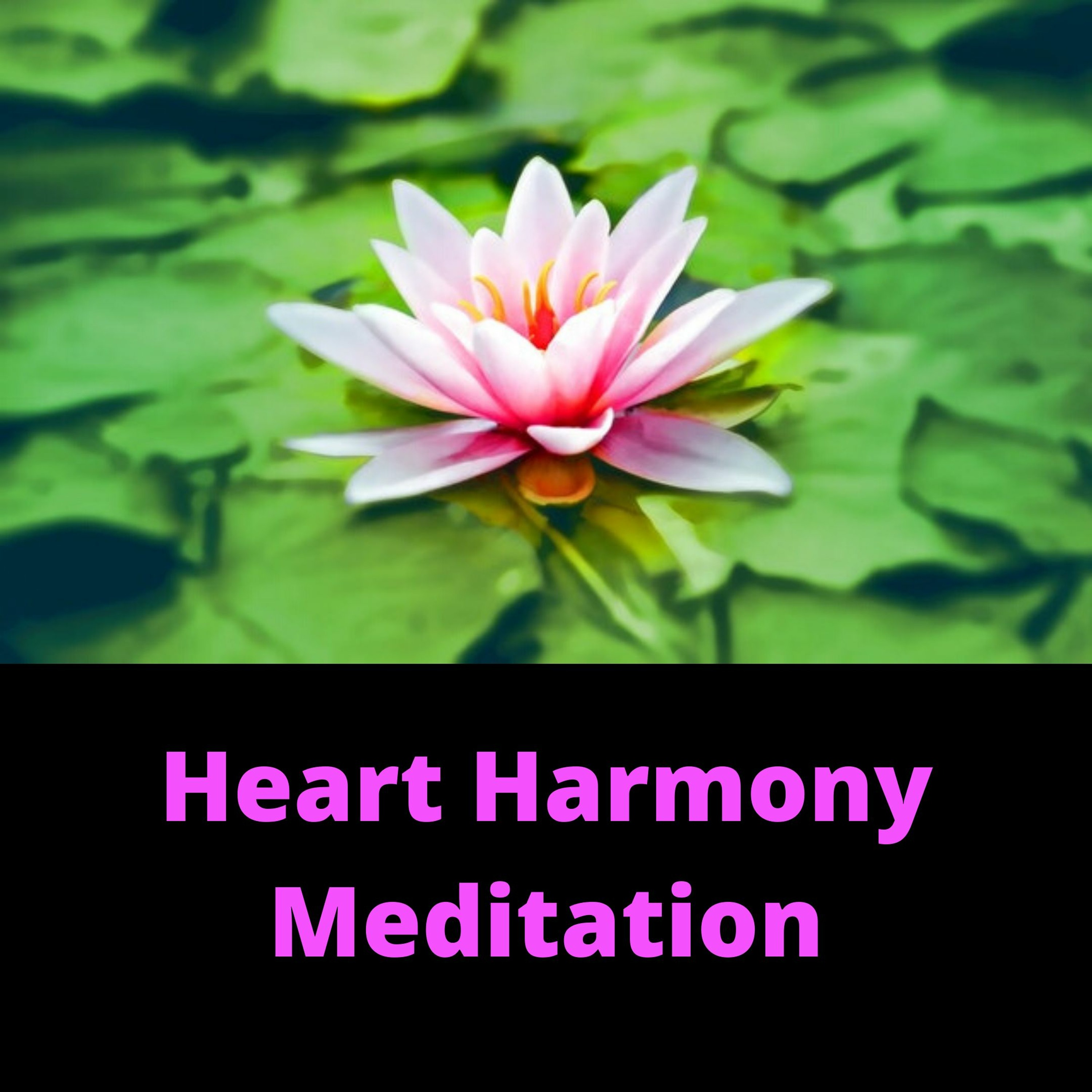 Quantum Consciousness Podcast