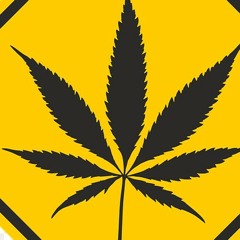 Scale - SlowDown (Feat.DMC)