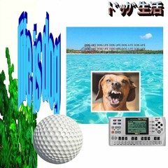 st va.ｽﾀ場 / one day...dog 6:00-22:00