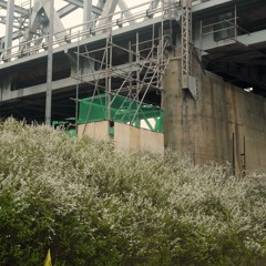 Morning in the Circle Line