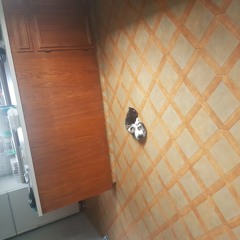 Recording 21 (rough)