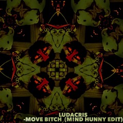 Ludacris - Move Bitch (M!ND HUNNY Edit)