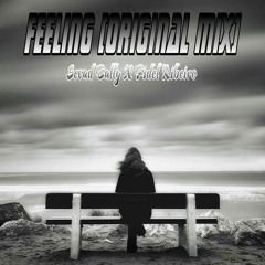 FeeLing (Original Mix) - Sevad Tally X Fidel Ribeiro