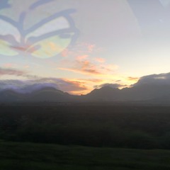 Dawn