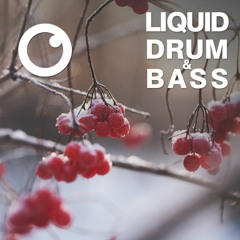Liquid Drum and Bass Sessions  #17 : Dreazz [February 2020]