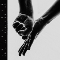 PREMIERE: Kalipo & Local Suicide - Crocodile (Radial Gaze Remix) [Hold Your Ground]