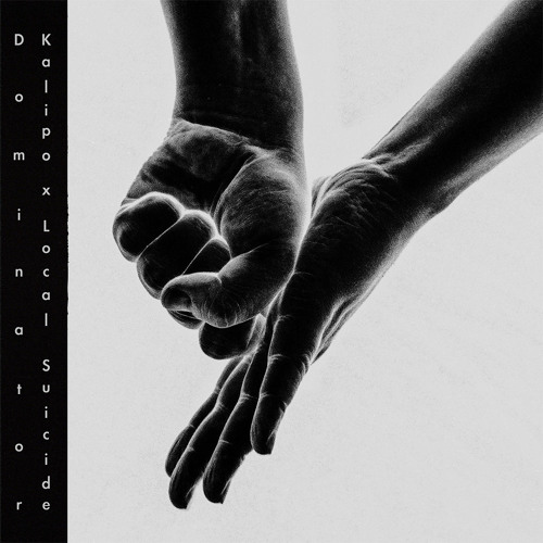 PREMIERE: Kalipo & Local Suicide - Crocodile (Radial Gaze Remix) [Hold Your Ground]