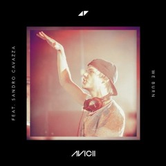Avicii feat. Sandro Cavazza – We Burn  (Instrumental)